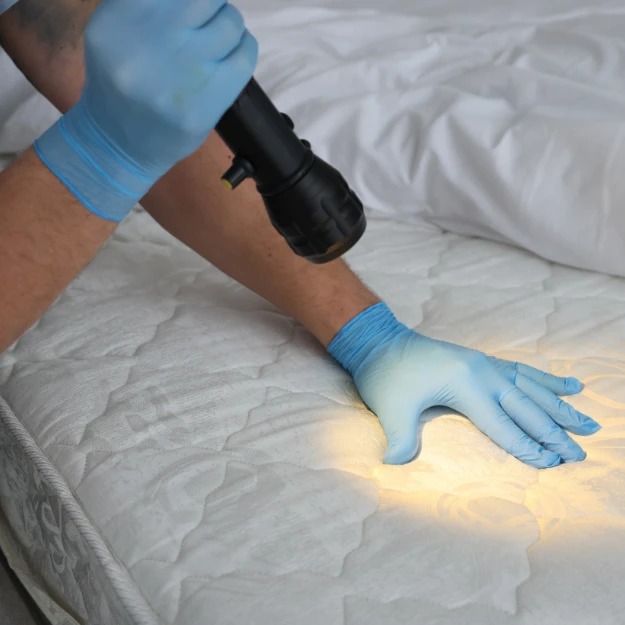 Inspection punaises de lit à Lyon par SOS Expert Hygiène